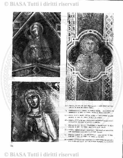 n. 36 (1835) - Pagina: 141