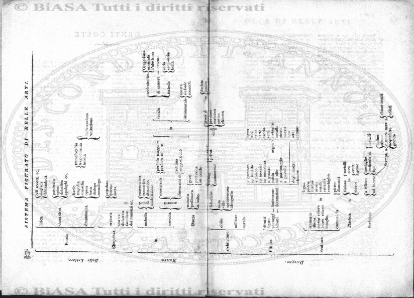 s. 2, v. 13, n. 2 (1879) - Pagina: 41