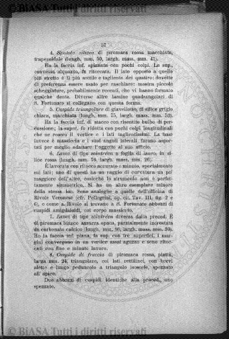 n. 4 (1916-1917) - Pagina: 25