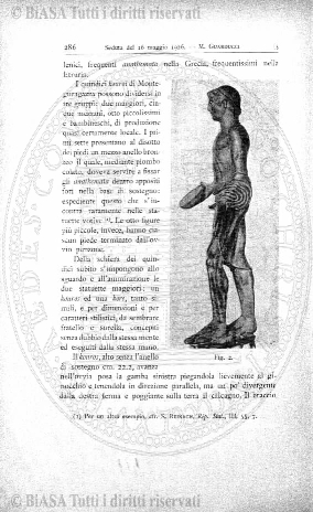 n. 17 (1895) - Frontespizio