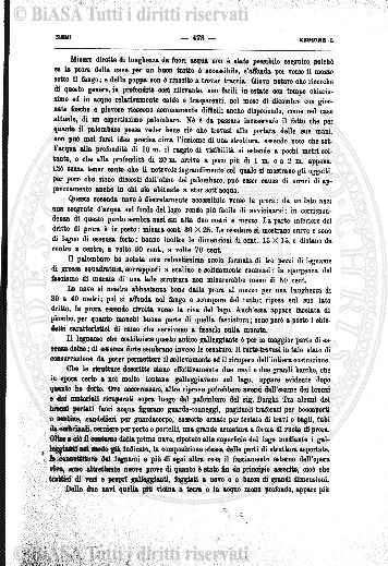 n. 5-6 (1884) - Pagina: 69