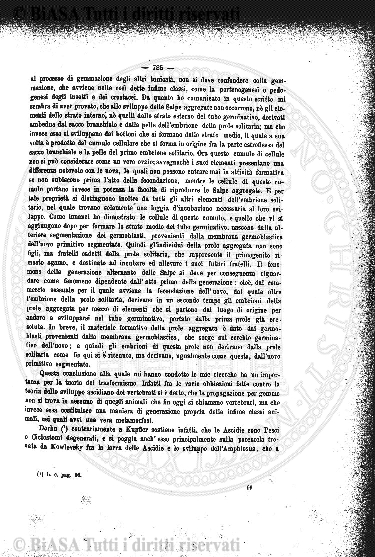 n. 5 (1908) - Frontespizio