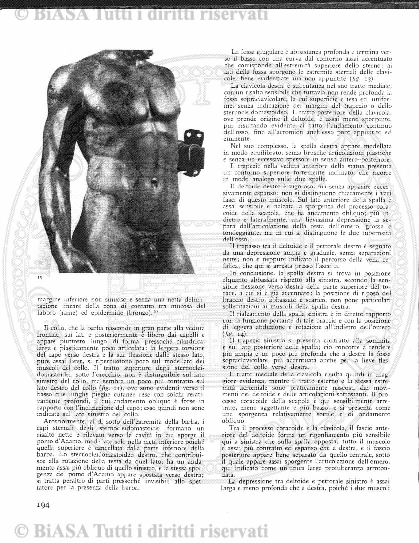 v. 1, n. 5 (1872) - Pagina: 121