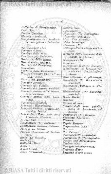 n. 11 (1918) - Pagina: 81