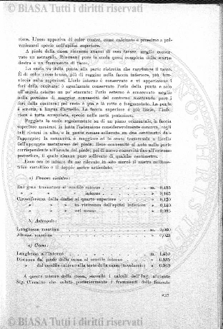n. 8 (1897) - Pagina: 61