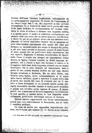 n. 5 (1911) - Copertina: 1