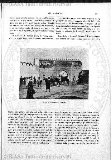 n. 32 (1873-1874) - Sommario: p. 41