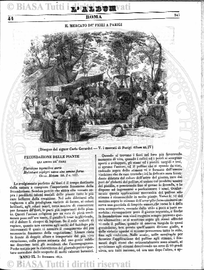 v. 48, n. 288 (1918) - Copertina: 1