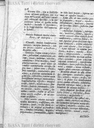 s. 2, v. 12, n. 6 (1877-1878) - Pagina: 193