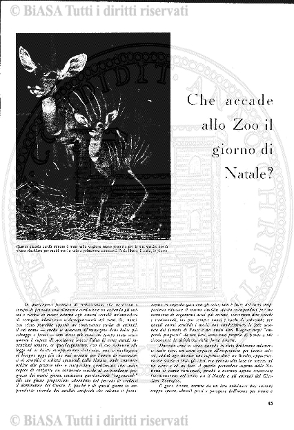 v. 6, n. 30 (1839-1840) - Pagina: 233