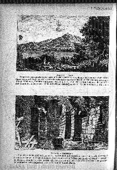 s. 2, n. 8 (1887-1888) - Pagina: 1
