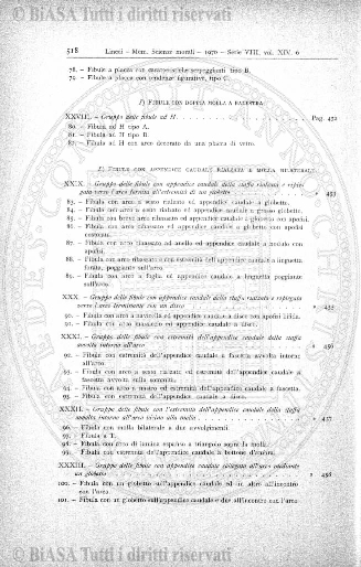 n. 14 (1913) - Frontespizio