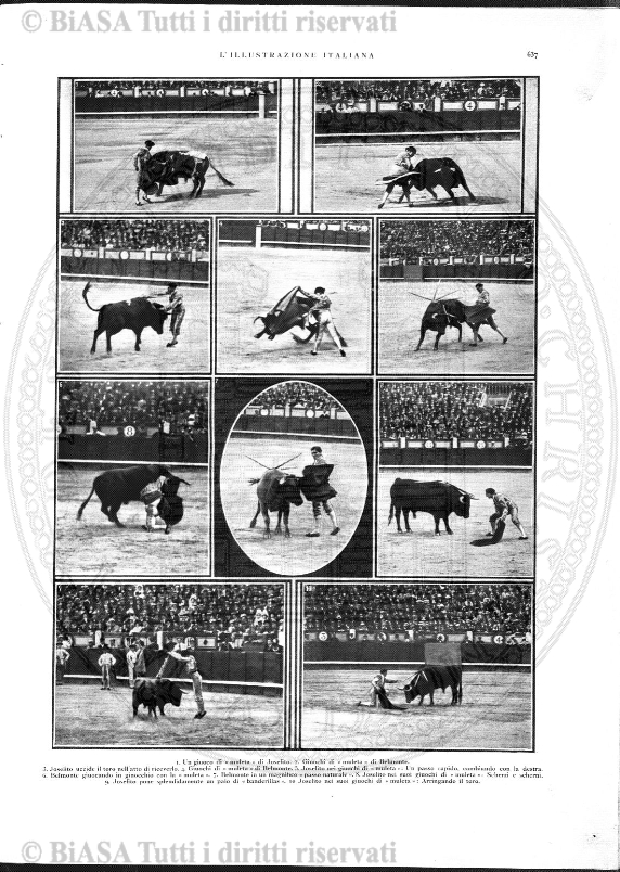 n. 39 (1884) - Pagina: 305 e sommario