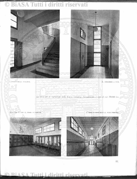 n. 7 (1885) - Pagina: 13