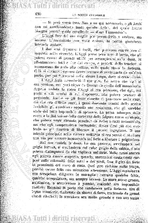 n. 31 (1874-1875) - Pagina: 241