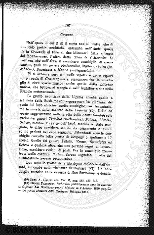 v. 1, n. 19 (1834-1835) - Pagina: 145
