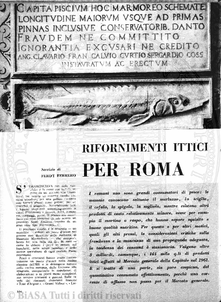 v. 10, n. 26 (1845-1846) - Pagina: 205