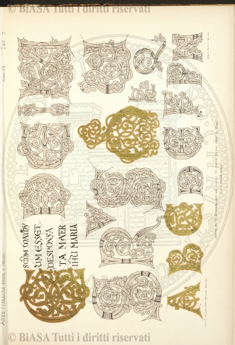 s. 2, n. 29 (1888-1889) - Pagina: 1