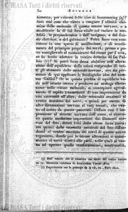 v. 31, n. 184 (1910) - Copertina: 1