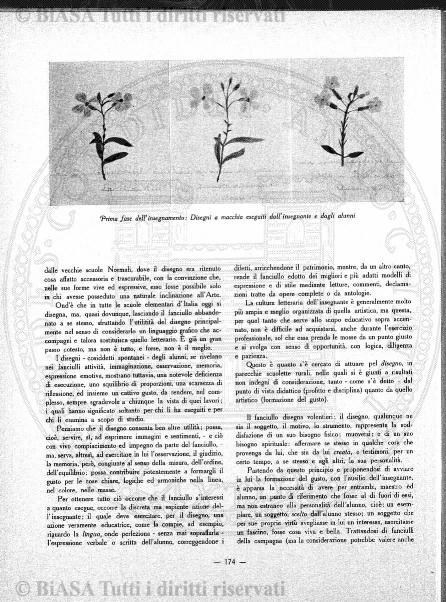 n. 1 (1898) - Copertina: 1