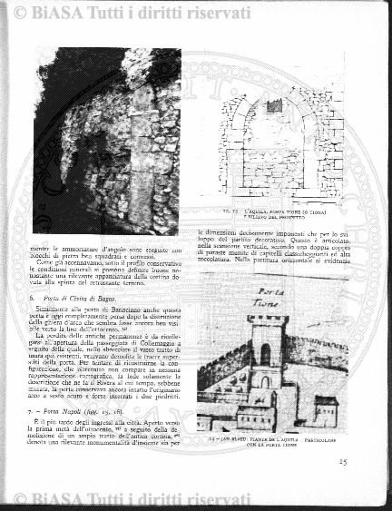 v. 6, n. 7-8 (1877) - Pagina: 193