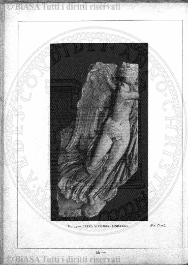 n. 3 (1883) - Pagina: 17 e sommario