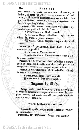 n. 45 (1834) - Pagina: 177