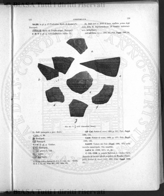 v. 7, n. 3 (1898) - Pagina: 33