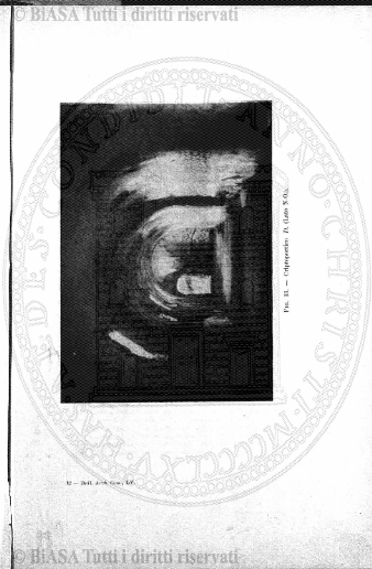 n. 7 (1888) - Pagina: 13