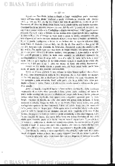 n. 10 (1905) - Frontespizio