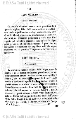 n. 11 (1941) - Copertina: 1