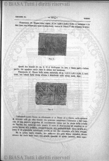 n. 5-6 (1916) - Copertina: 1