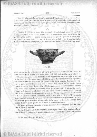 s. 2, v. 4, n. 5-6 (1888) - Pagina: 65