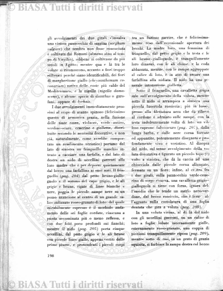 n. 3 (1785) - Pagina: 17