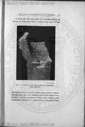 s. 2, v. 13, n. 4 (1879) - Pagina: 117