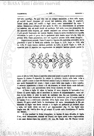 v. 18, parte 1, n. 4 (1896-1897) - Pagina: 1