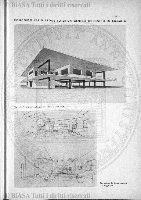 v. 4, n. 29 (1839-1840) - Pagina: 229