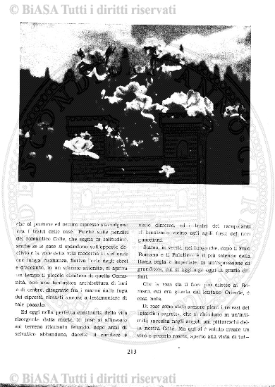n. 8 (1907) - Pagina: 431