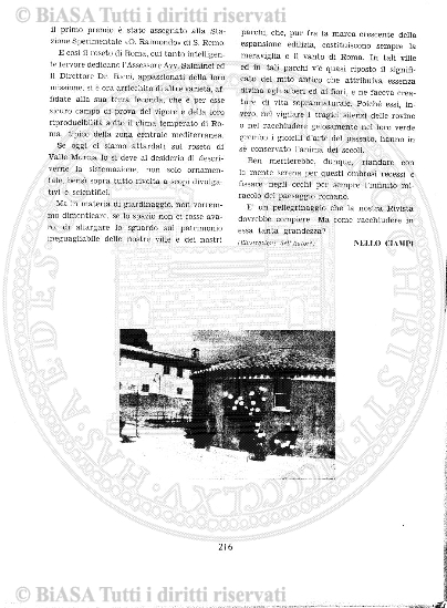 n. 1 (1894) - Copertina: 1