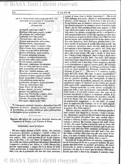 n. 7 (1919) - Copertina: 1