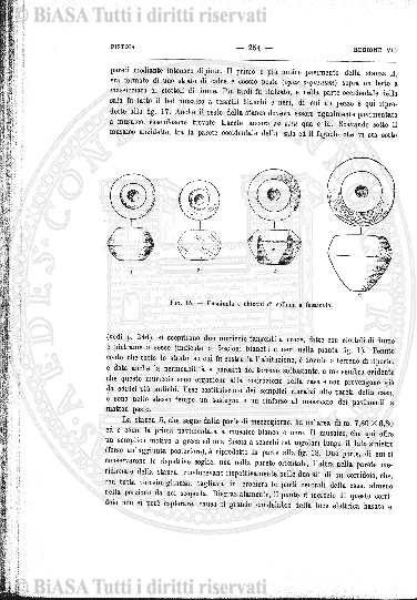 s. 2, v. 9, n. 10-12 (1893) - Pagina: 233