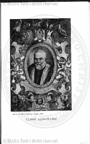 n. 21 (1886) - Frontespizio