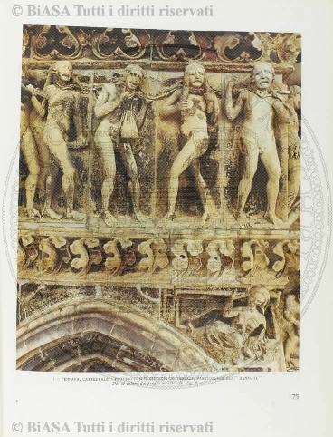 n. 11 (1954) - Copertina: 1