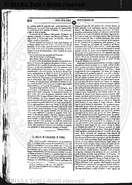 v. 10, n. 41 (1783-1784) - Pagina: 321