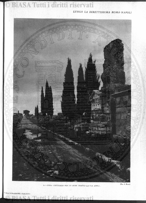 v. 7, n. 36 (1842-1843) - Pagina: 281
