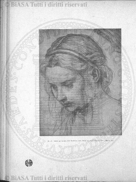 v. 13, n. 77 (1901) - Copertina: 1