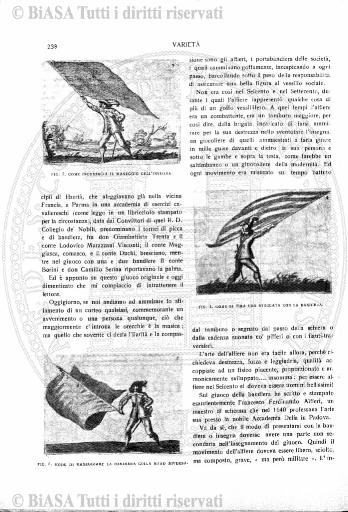 n. 6a (1834) - Pagina: 113