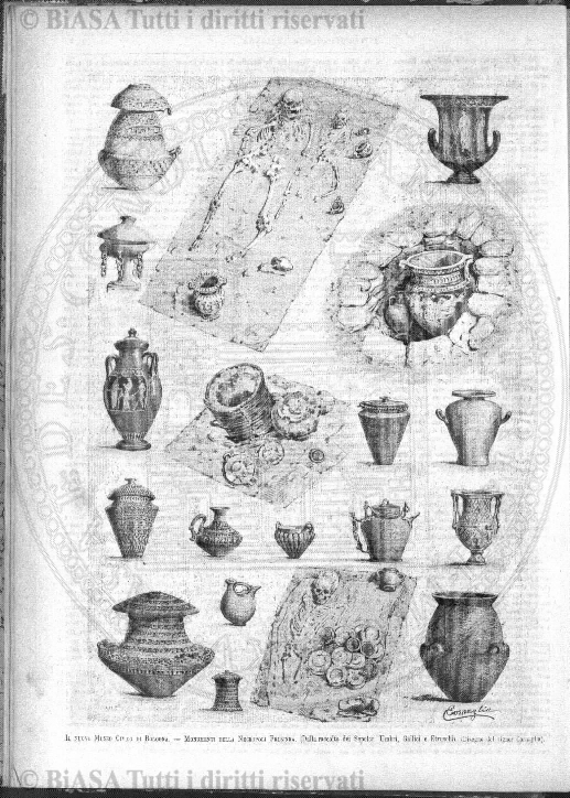 s. 3, v. 3, n. 4-6 (1897) - Pagina: 49