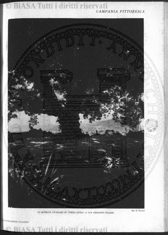 v. 6, n. 44 (1841-1842) - Pagina: 345