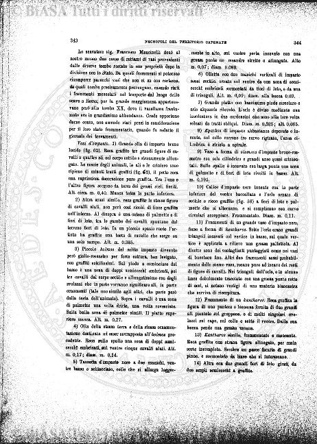 n. 7 (1905) - Pagina: 195